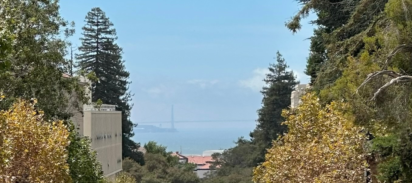 pic from berkeley companile